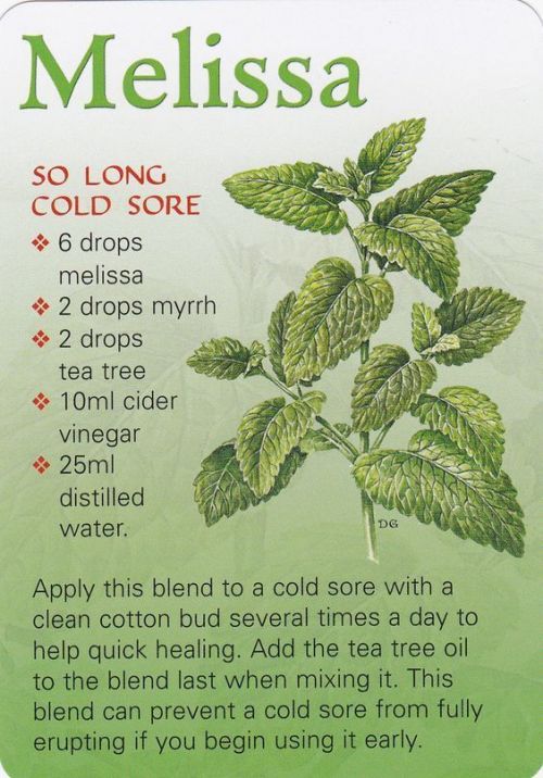 q-eo-melissa-dpn92x-564x808