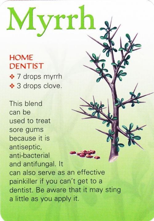 q-eo-myrrh-nc9pdo-564x811