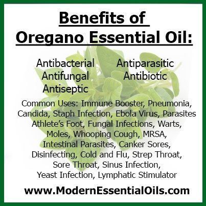 q-eo-oregano-qsoi5w-403x403