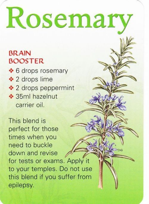 q-eo-rosemary-s7kkwg-564x771