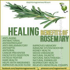 q-eo-rosemary2-pzikyl-236x236