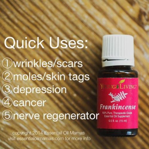 qu-frankincense-qpee5q-564x564