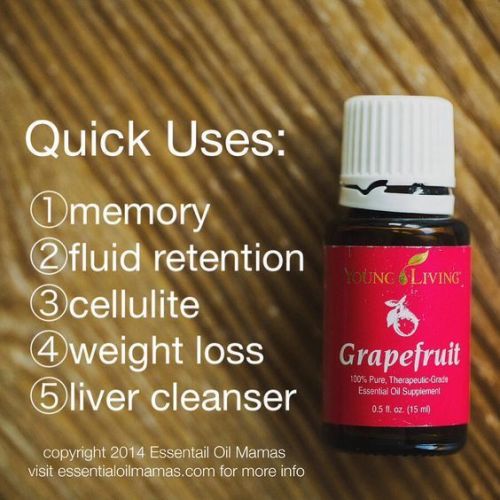 qu-grapefruit-z5bd5e-564x564