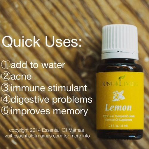 qu-lemon-boenqn-564x564