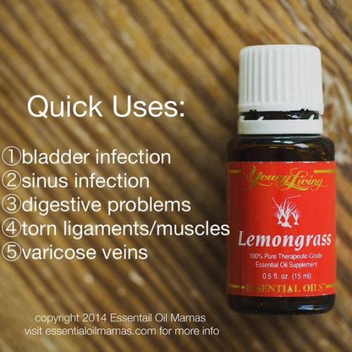 qu-lemongrass-plhxwz-564x564