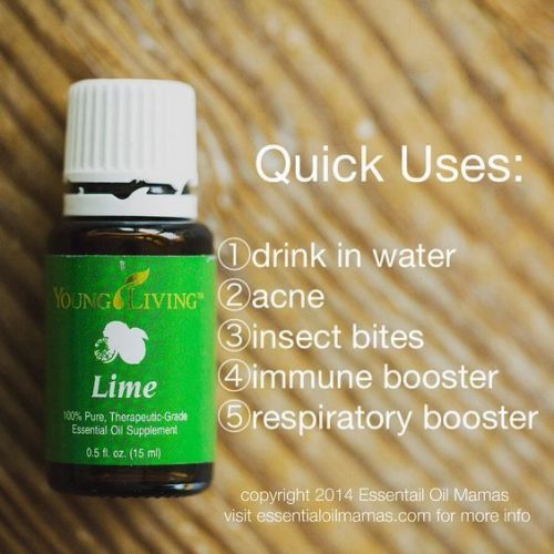 qu-lime-6nwe0w-564x564