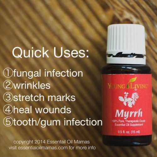 qu-myrrh-jayol0-564x564