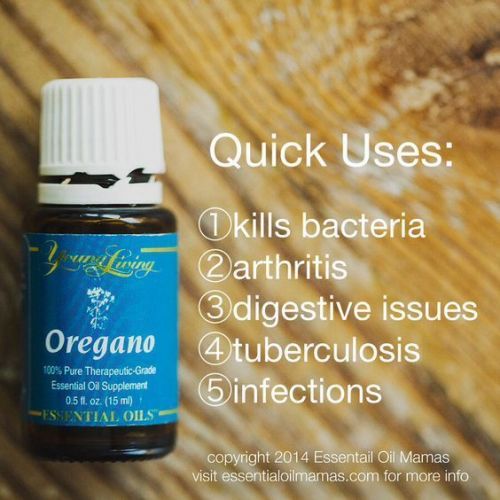 qu-oregano-ztgvqf-564x564